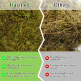 Halatool 9OZ Natural Sphagnum Moss for Reptiles- 14QT Green Moss for Terrarium Plants Long Fiber Reptile Moss for Leopard Gecko Snake Hamsters Tortoises Frogs Lizards Salamanders