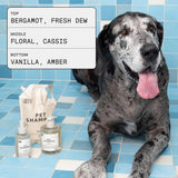 DedCool Pet Shampoo | 01 Taunt | Gentle Cleanser for Dogs | Plant-Based Formula for Soft, Fresh Coats | Sulfate-Free, Dye-Free | Vegan | 16.9 fl oz