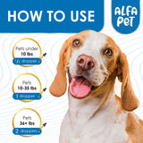 Kennel Cough Treatment for Dogs Helps with Dry, Wet, Barking Cough – Herbal Cat and Dog Cough Treatment Soothes and Calms Irritated Throat, Supports Breathing, Clears Airways – 2-oz Bottle