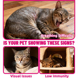 Just Try 7OZ Taurine Powder - Cat & Dog Heart Supplement with Taurine & CoQ10 - Support Heart, Vision and Immune System Health