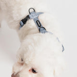 Fei & Eve Moxie H-Shape Dog Harness | Ultra-Lightweight | 3-Leash System for No-Pull Control | Easy On-Off | Adjustable 210D Breathable Nylon | Soft Padded Lining, Dusk Blue, S