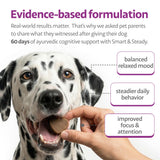 Ayourpets Calming Cognitive Chews for Senior Dogs with Anxiety, Memory & Brain Support – Holistic Herbal Ashwagandha, Brahmi & Omega-3 – Fish Flavor – 90 Count