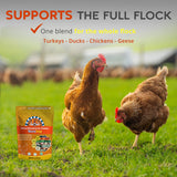 Buff Clucks WormStop Natural Chicken Dewormer Powder – All-Natural Herbal Blend for Daily Wellness - Chicken Wormer is Safe for Eggs & All Ages - Garlic, Pumpkin Seed, Wormwood - USA (8 oz)