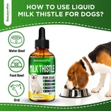 Milk Thistle for Dogs | Dog Liver Supplement for All Ages and Breeds | Here is Only Herbal Composition | + Attractive and Super Yummy Bacon Flavor | 2 Oz