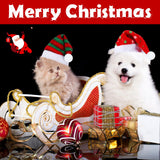Frienda 12 Pieces Dog Santa Hat PET Christmas Hat Soft Plush Cat Hat Pet Costumes for Small Dog Cat Puppy Christmas Supplies (Vibrant Pattern)