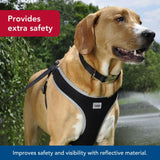 Coastal Pet Comfort Soft Reflective Wrap Adjustable Dog Harness - No-Pull Dog Harness for Small & Large Dogs - Black - 1" x 28"–36"