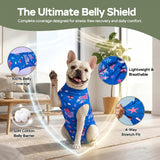 PetWarm Dog Bodysuit, Recovery Suit for Dogs, Underwater World, Blue, XS