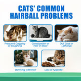 Just Try 300 Bites Hairball Control Cat Treats - Hairball Treatment & Relief for Cats - with Cat Grass, Pumpkin, & Omega-3 Fish Oil, Crunchy Chicken Flavor Crunchy Bites