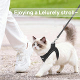 Small Dog Harness and Leash Set Breathable Step-in Puppy Cat Harness,XXXS