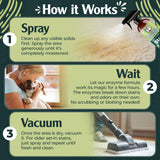 Sprinkle & Sweep: Pet Stain & Odor Enzyme Spray - 24oz - No Scrubbing Concentrated Formula, Dog & Cat Urine & Mess Destroyer, Carpet Spot Cleaning