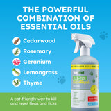 BugMD Pet Safe Flea Spray for Cats & Home | Natural Indoor Flea Killer & Tick Prevention | Plant-Based Flea Treatment for Carpet, Furniture & Cat Trees with Essential Oils