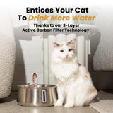 KittySpout Stainless Steel Cat Water Fountain Automatic Drinking Fountain, Quiet Circulating Water Bowl, Dishwasher Safe, Indoor Pet Fountain for Hydrated Healthy Cats (Stainless Steel, 4L Corded)