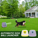 MKSY Automatic Dog Ball Launcher for Small to Medium Dogs, Interactive Pet Toy with Balls (Purple)