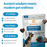 Ayourpets Hip and Joint Supplement for Dogs with Stiff Joints, Arthritis & Mobility – Natural Boswellia, Ashwagandha & Turmeric Ayurvedic Herbal Support – Pork Flavor – 90 Count