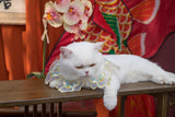 Leo Kitty Adorable Large-Flower Christmas Pet Costume for Cats & Small Dogs — Handcrafted, Lightweight & Comfortable