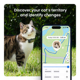 Tractive XL Smart Dog GPS Tracker | Live Pet Tracker with Virtual Fence | Vital Signs Monitoring of Heart & Respiratory Rate | Up to 1-Month Battery Life | Dog Collar Attachment (Green)