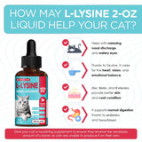 L Lysine for Cats with Taurine & Probiotic – A and B Vitamins Help with Watery Eyes, Sneezing, Cough, Allergies – Feline Upper Respiratory Supplement Works as a Natural Antibiotic for Cats – 2 Oz