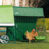 Omlet Portable Chicken Coop Go Up | Easy to Clean and Maintain Plastic Chicken Tractor | Cool in Summer, Warm in Winter Weatherproof Hen House | Green Coop with 6ft Run and Wheels