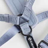 Fei & Eve Moxie H-Shape Dog Harness | Ultra-Lightweight | 3-Leash System for No-Pull Control | Easy On-Off | Adjustable 210D Breathable Nylon | Soft Padded Lining, Dusk Blue, S