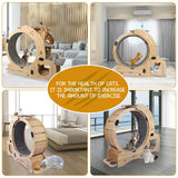 55" Large Cat Wheel for Indoor Cats, 6-in-1 Multifunctional Cat Treadmill with Cat Bed, Scratching Board, Detachable Mat, Climbing Frame & Toys, Ideal for Running, Walking & Daily Training