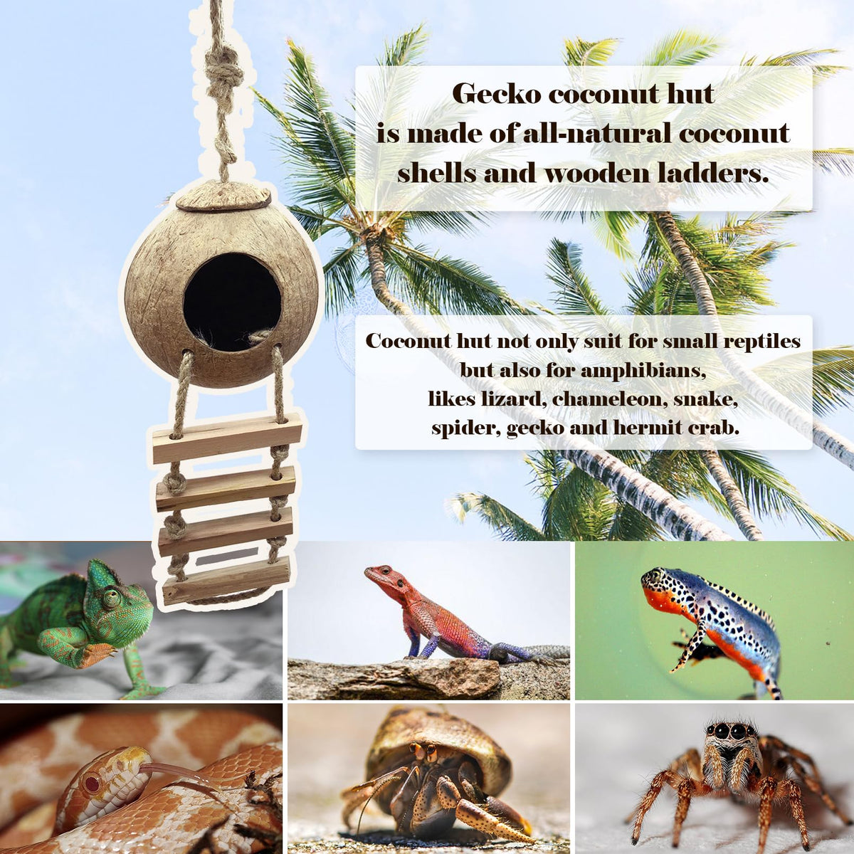 MUYG Crested Gecko Tank Accessories,Gecko Coconut Hut Hideout with Lad ...