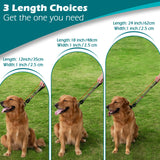 PetBonus Heavy Duty Short Dog Leash, 12" Nylon Lead with Quick Release Clip
