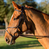 Equinavia Saga Adjustable Padded Fancy Stitched Figure 8 Bridle with Reins - Chocolate Brown - Horse