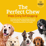 Advance Pet Products Premium 6 Inch Bully Sticks for Dogs (Pack of 5) – 100% Beef Dog Chews, Odor-Free, Long Lasting Treats for Aggressive Chewers, High Protein, Gluten & Rawhide Free, Easy to Digest