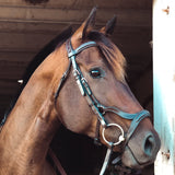 ExionPro English Jumping Bridle for Horses with Combined Flash Noseband | Anatomical Monocrown Padded Headpiece & Rubber Reins | Black/Brown Show Bridle for Eventing & Training