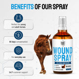 Horse Wound Care Spray with Silver – for Insect & Fly Bites, Hot Spots, Scratches & Itchy Skin – Supports Quick Healing of Cuts, Abrasions & Rain Rot Treatment for Horses – Equine Healing Aid – 4 Oz