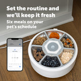 PetSafe FreshFeed Refrigerated Automatic Wet Food Feeder, 6 Meals, White
