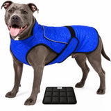 LUCOLOVE Dog Cooling Vest with Ice Pack – 2-Layer Evaporative Cooling Jacket with High Collar, UV Protection & Size-Matched Ice Pack – Cooling Vest for Dogs for Hot Weather (Blue Aqua, Large)