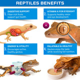 Gargeer Picky Geck - Parent 2
