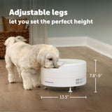 PetSafe FreshFeed Refrigerated Automatic Wet Food Feeder, 6 Meals, White