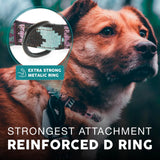 Embark Adventure Medium Dog Collar – Stylish, Durable Nylon, Adjustable & Comfortable, Strong Buckle