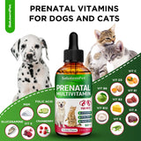 Dog Prenatal Vitamins for Moms During Lactating – Prenatal Vitamins for Dogs & Cats of All Breeds to Care for Pet Development – Multivitamin for Cats – 2 Oz – Herbal Supplement for Pets