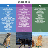PawZ Rubber Dog Boots for Medium Paws - All-Weather Waterproof Dog Shoes, Anti-Slip Traction for Rain, Snow, Mud & Hot Pavement - Pull-On Dog Booties, Blue - Medium (2.5" - 3") - Pack of 24