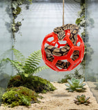 MyFunBBsdar Snake Enrichment Toys,Ball Python Tank Accessories with Snake Climbing Accessories Hammock, Lizards Toy Activity Ball,Reptile Climbing Toys for Crested Gecko Bearded Dragon