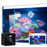 3MP 2K Aquarium & Terrarium Pet Camera with Light for Fish or Reptile Pet