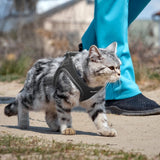 Small Dog Harness and Leash Set Breathable Step-in Puppy Cat Harness,XXXS