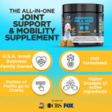 Googipet Premium Hip and Joint Supplement for Dogs - Glucosamine Soft Chews w/Green Lipped Mussels for Dogs, Dog Joint Supplement Turmeric for Mobility, Ages, & Breeds