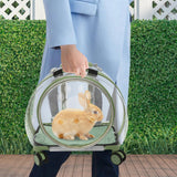 Cat Carrier with Wheels, Breathable Cat Rolling Carrier with Telescopic Handle, Bubble Cat Backpack Carrier, Clear Pet Travel Bag for Small Dogs Pets, up to 19lbs, 15.7" x 10.6" x 17.7" (Green)