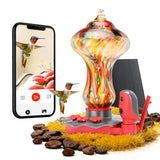 TT Nature Glass Smart Hummingbird Feeder with Camera Solar Powered 2K- AI Identify & Water Detection, Instant Notification, Leakproof & Ant Moat, Compatible with Alexa & Google Assistant