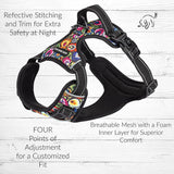 Lucky Love Dog, Bundle of Matching Harness Plus Leash for Easy Walk Training Comfort- Blackbird, Small