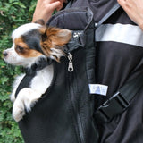 Mr. Pen- Pet Carrier Backpack, Weighing Up to 12 lbs, Adjustable Dog Carrier Backpacks, Dog Backpack Carrier for Small Dogs, Dog Front Carrier