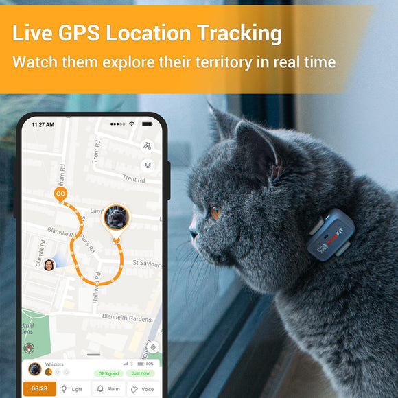 Pawfit Lite for Cats 4g GPS Tracker | Ultra-Small (<18g) Design
