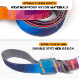 Embark Dog Leash - Heavy Duty Tough Nylon Training Lead for All Dog Breeds