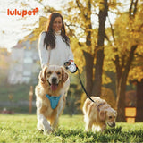 Blue Dog Harness Leash Collar Set, No Pull Reflective Dog Vest Harness with Control Handle, Adjustable Breathable Pet Harness for Small Medium Dogs Walking Training