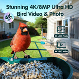 Humbirdy-Bird Feeder with Camera, 8MP Ultra HD Video & Photo, 10x Slow-Motion, 4K 30fps Live View, No Subscription, AI Identify, 2.4G/5G Wi-Fi, Solar Powered, Dural Metal, Unique Bird Watching Gifts