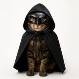 Black Bat Cat Costume with Cloak, Funny Bat Mask and Cat Cloak , Cat Outfit and Hoodie for Cosplay, Halloween, Cat Clothes and Accessories for Indoor Cats, Bat Cat Mask and Apparel, Superhero Easter Pet Costume (Big - Middle)